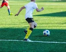 年云南曲靖,将举办国际,传统体育交,乐鱼体育,乐鱼体育官网,乐鱼体育官方,乐鱼体育下载