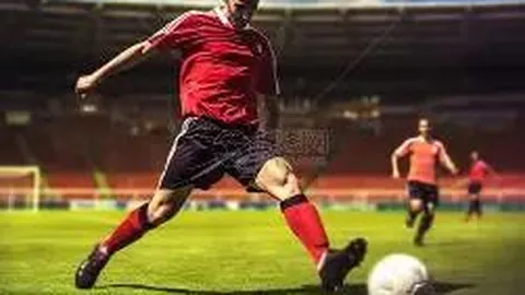 乐鱼体育 产品 103117 b8e