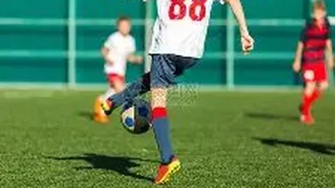 乐鱼体育 产品 121612 njg