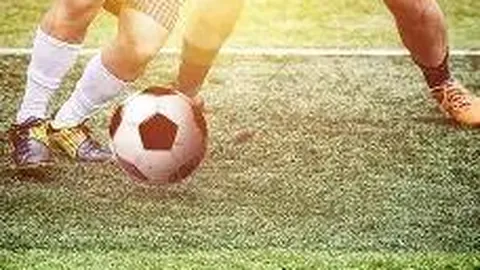 乐鱼体育 产品 110556 dvy