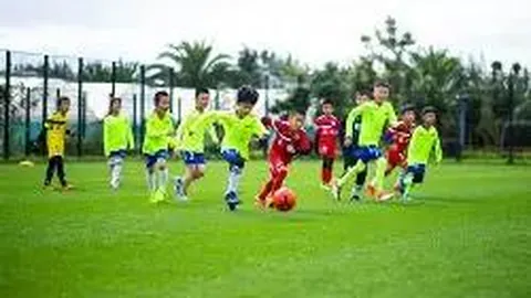 乐鱼体育 资讯 121045 o9f