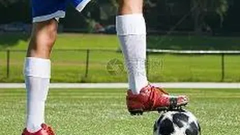 乐鱼体育 产品 121107 ovh