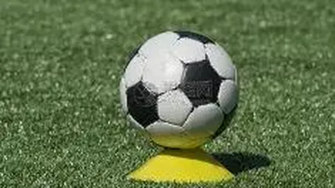 乐鱼体育 产品 122043 xlx