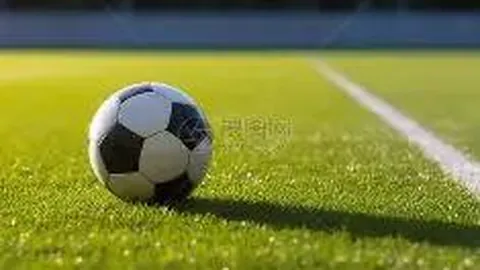 乐鱼体育 产品 095628 yf5