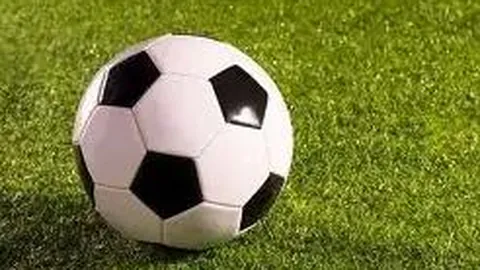 乐鱼体育 资讯 095619 5r6