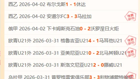 铁甲雄兵婚庆底座背景推荐，速来为爱助力